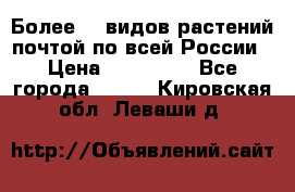 Более200 видов растений почтой по всей России › Цена ­ 100-500 - Все города  »    . Кировская обл.,Леваши д.